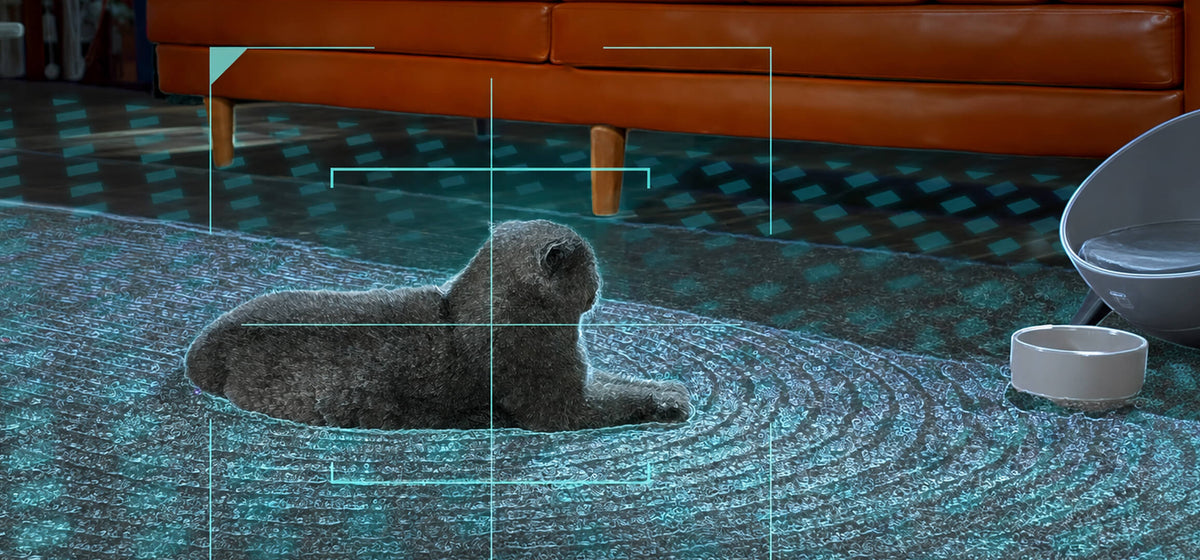 Object Detection & Recognition